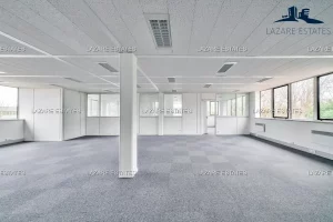 Location locaux d'activités et bureaux à St Thibault des Vignes