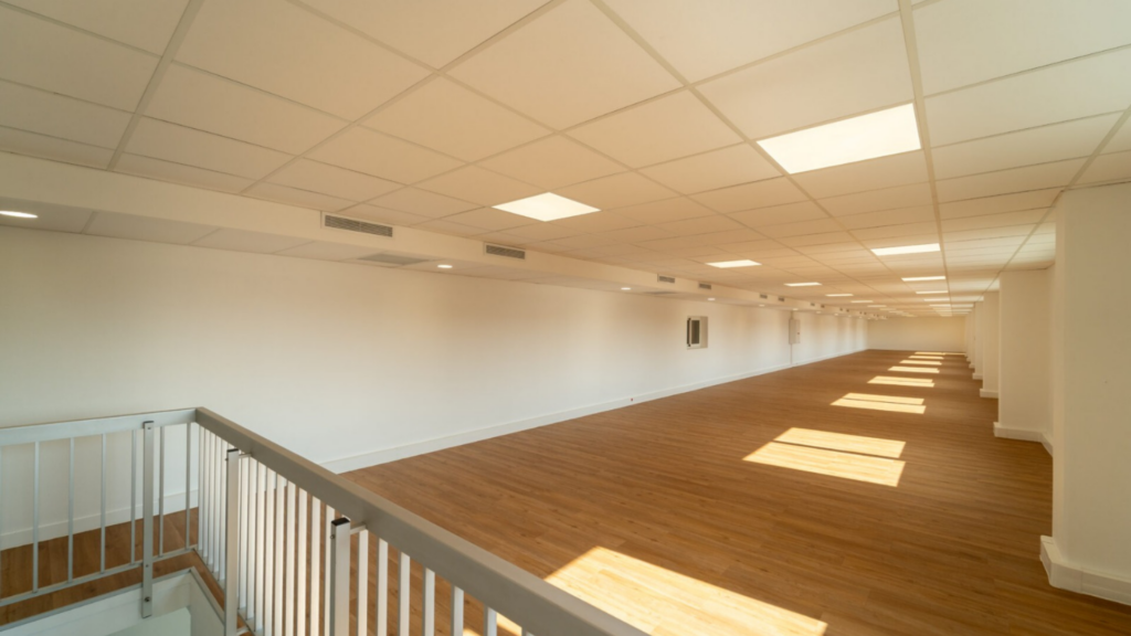 2 BATIMENT D’ACTIVITES A LOUER 3-7 RUE JEAN PERRIN 69680 CHASSIEU (4)